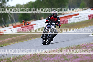 Bild 7678