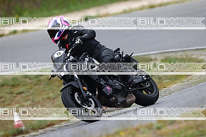 Bild 8116