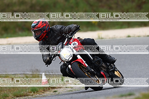 Bild 8431